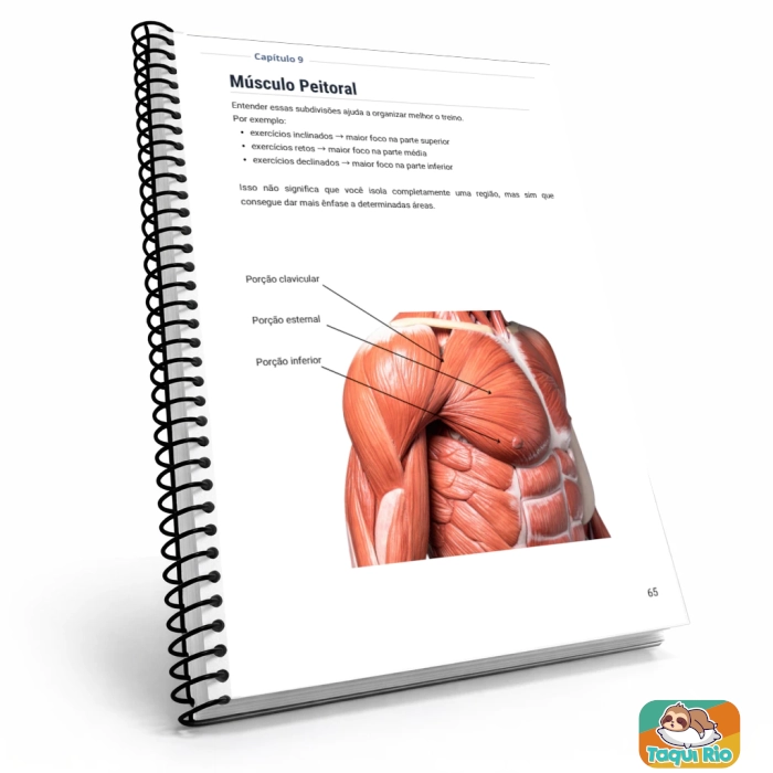 APOSTILA DE MUSCULAÇÃO A5 - COM + DE 110 EXERCÍCIOS ILUSTRADOS COM 212 PÁGINAS